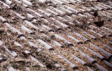 Forest Row roof cleaning companies